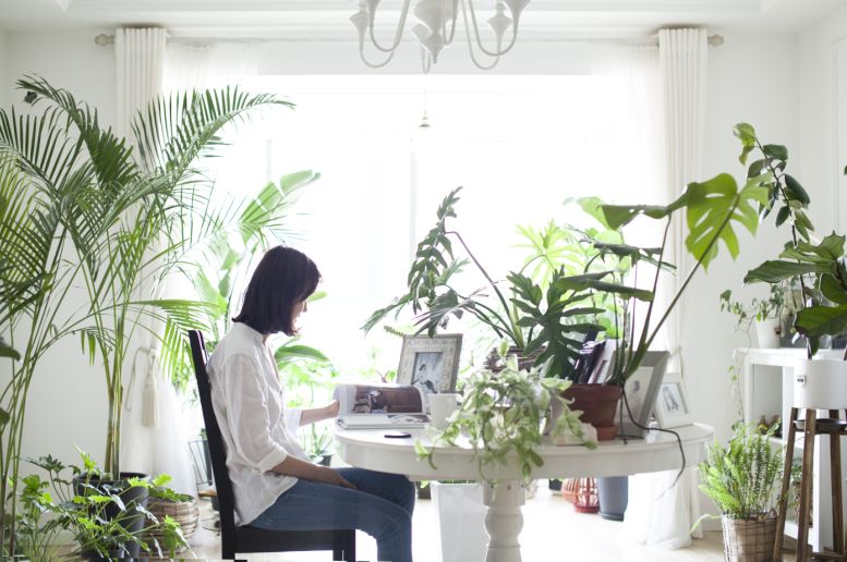 56岁阿姨独居2层别墅，不结婚不生娃，靠另类日式风圈粉无数人