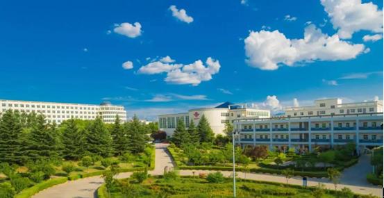 至美海棠最美好的年华遇见你