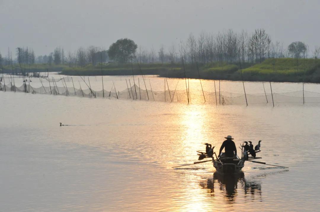 海安，魂牵梦绕是故乡——致天下海安人