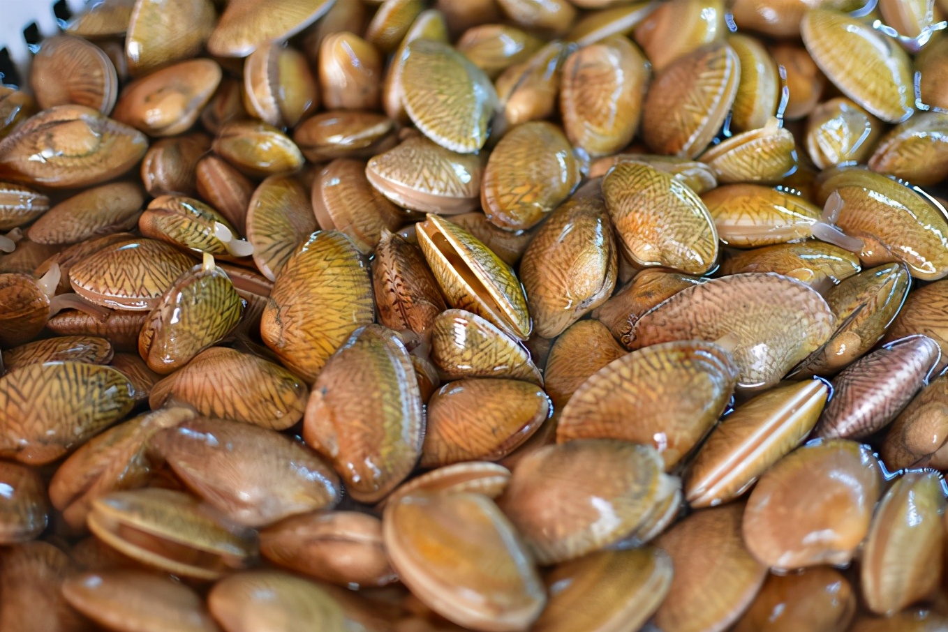 来三亚必吃的海南菜,三亚旅游在哪里吃海南菜