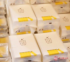 秋田市旅游,秋田一日游最佳去处