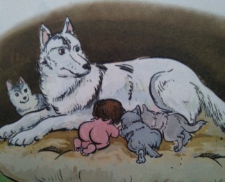 不合群是为了走得更远,不合群是真的孤独