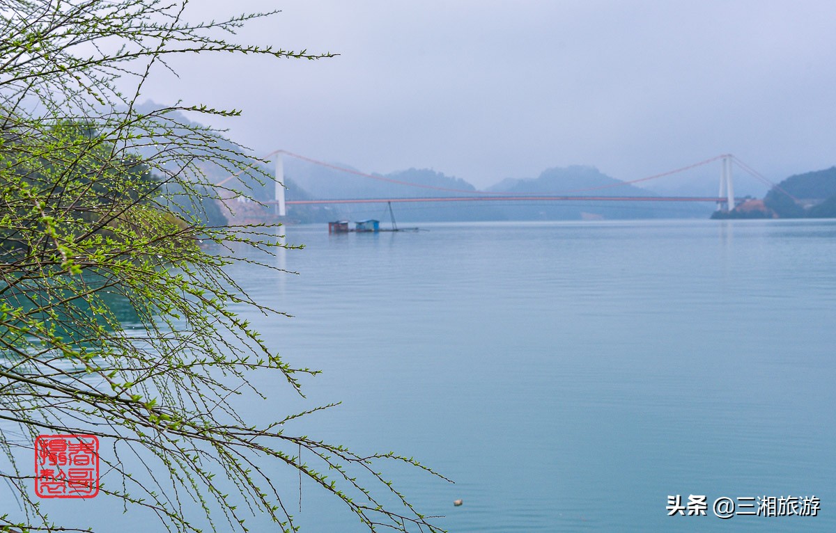 宝中旅游春华路,湖南春天赏花旅游