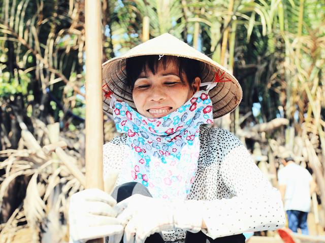 越南的美食美景,越南的美食和美景