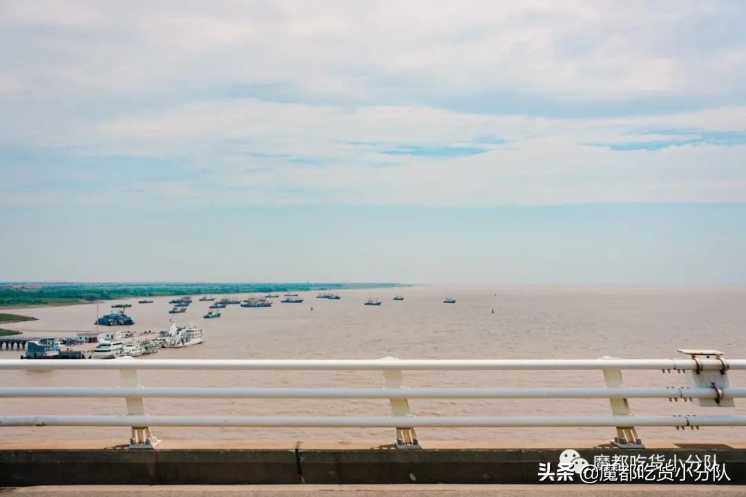 崇明岛地理位置独特,崇明岛过度开发