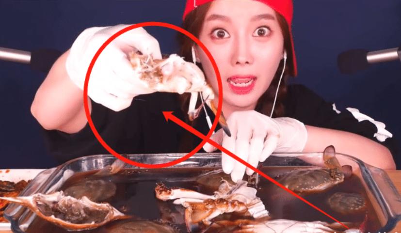 美女吃螃蟹直播视频,美女直播吃超大螃蟹