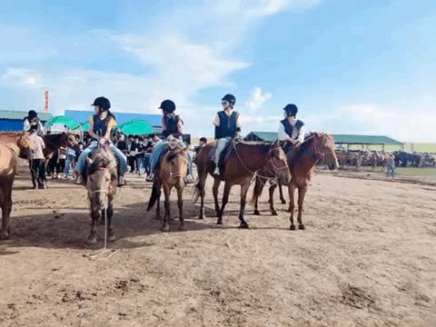 暑假内蒙古旅游攻略亲子,暑假亲子游玩内蒙古5天4夜