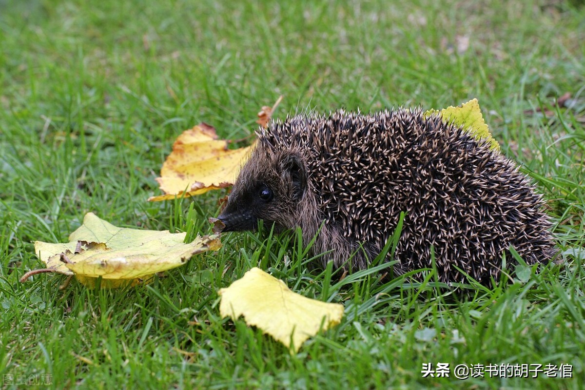中年人怎么排解消极情绪,中年人怎样排除负面情绪