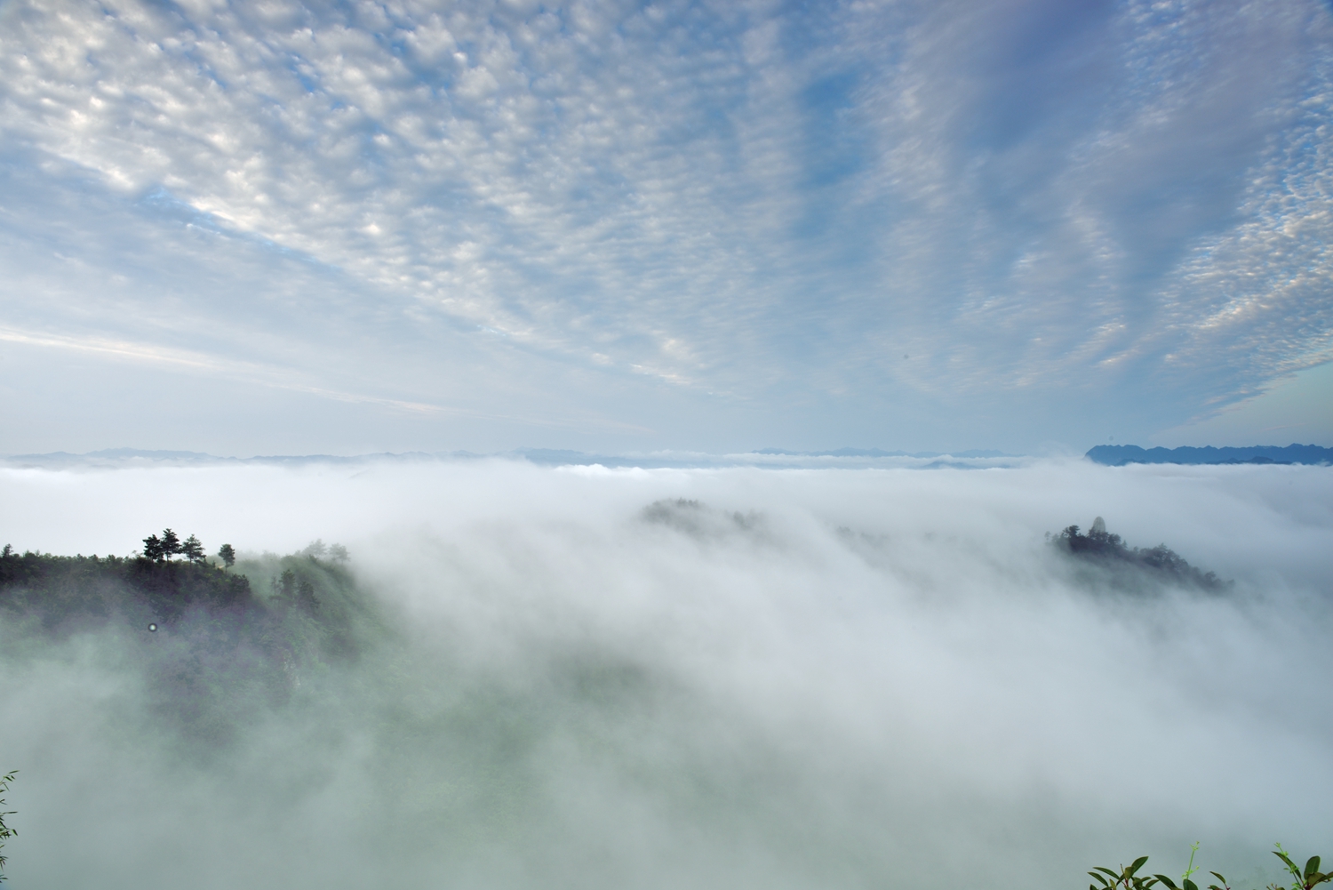 郧西七夕广场夜景牛郎织女,天上七夕人间郧西
