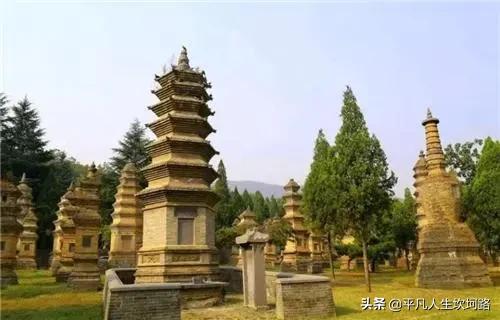 佛教大德圆寂火化后才有舍利子,佛教舍利的作用