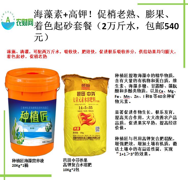 柑橘果的处理方法,柑橘大小果有办法补救吗