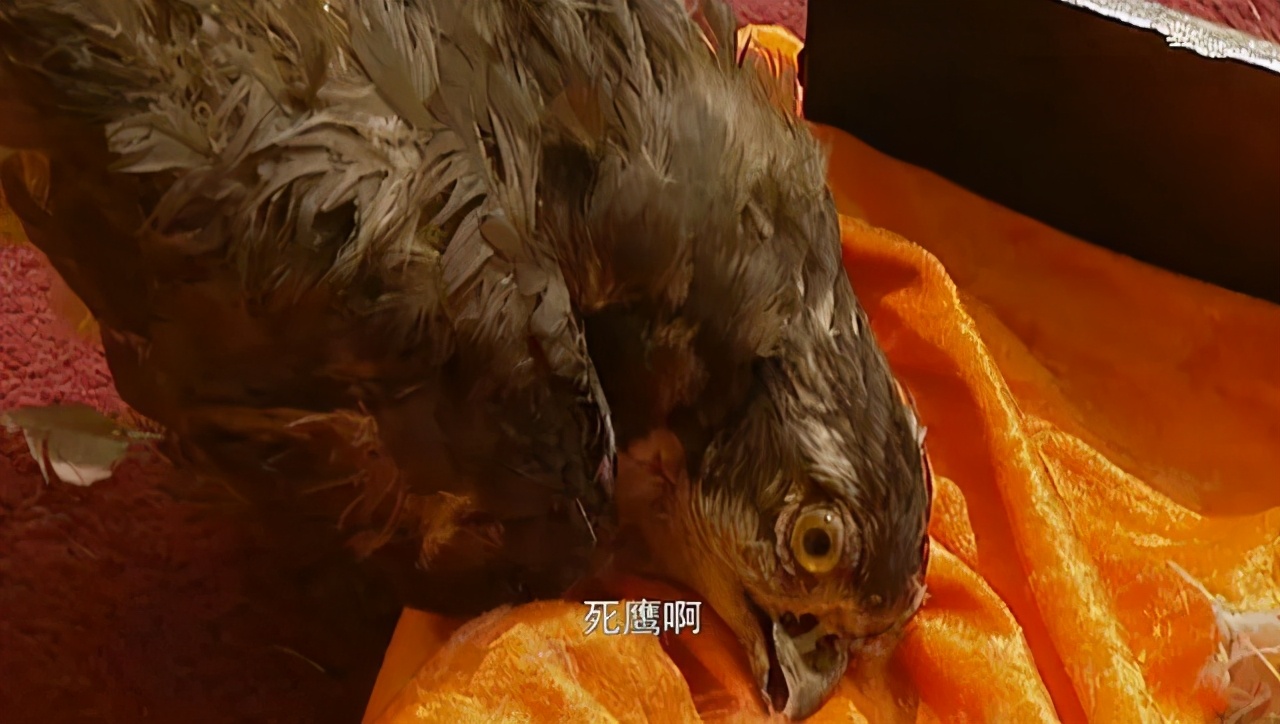 十部必看历史剧大秦帝国,大秦帝国排行榜