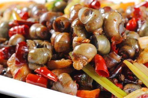 炒田螺要不要先“焯水”?很多人弄错了,难怪田螺腥味重不嫩不鲜