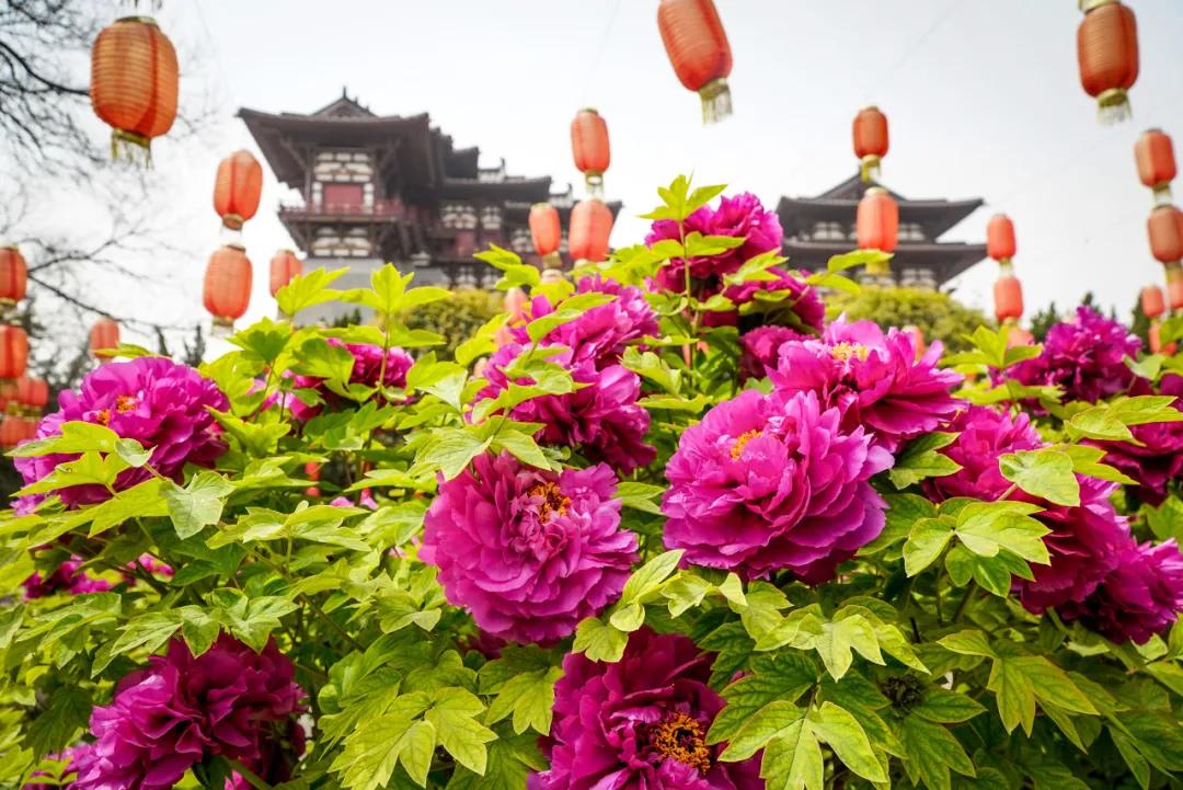 旅行结束回来继续努力,旅行恢复生命力