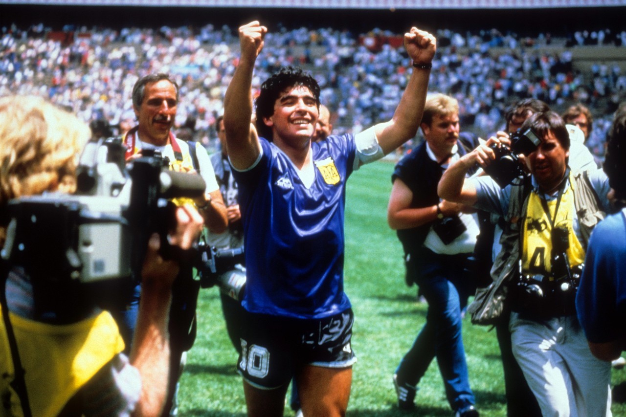 飞鸟和蝉的影子视频,飞鸟和蝉影子