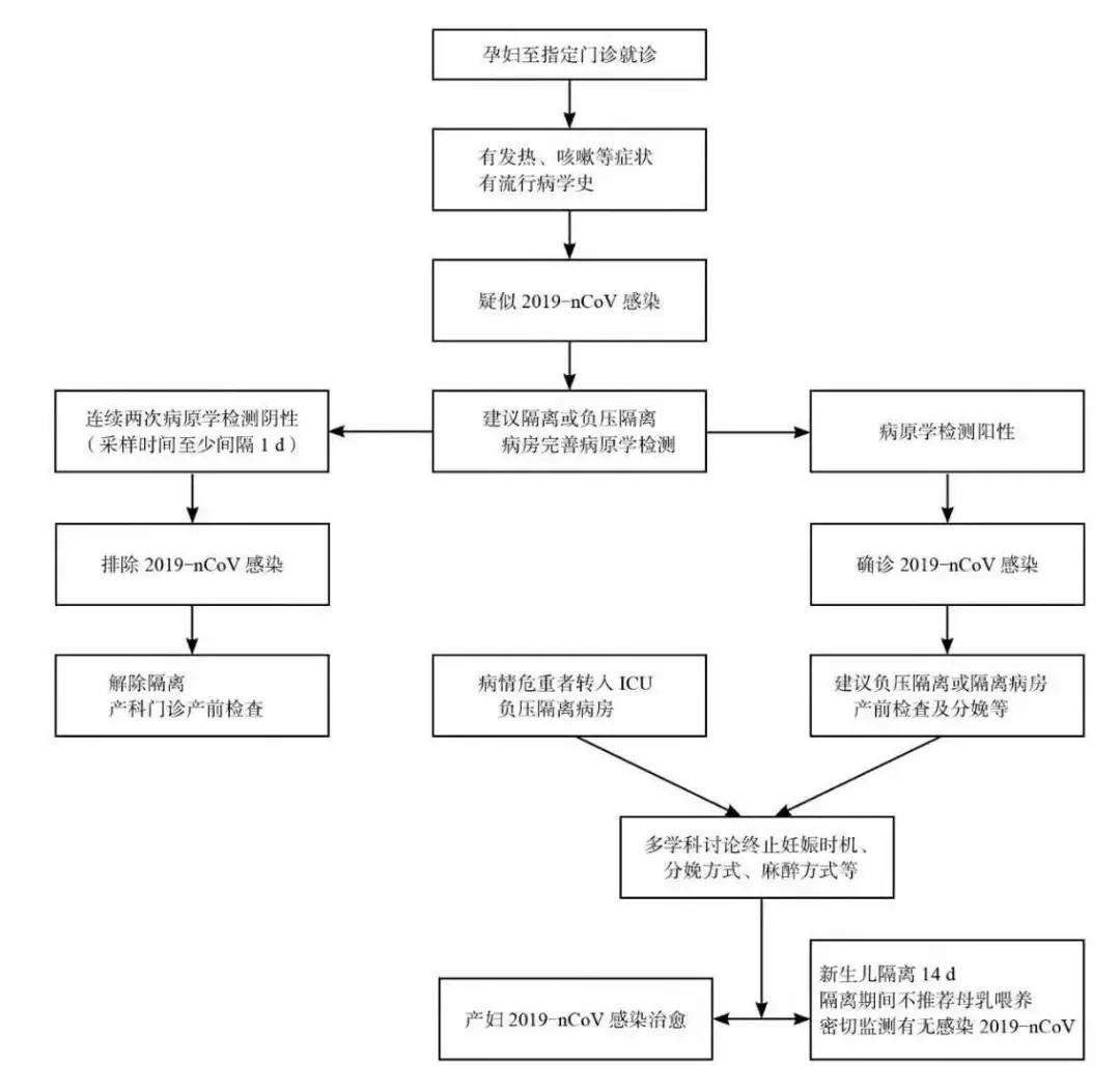最新权威发布！妊娠期与产褥期新型冠状病毒感染专家建议来了