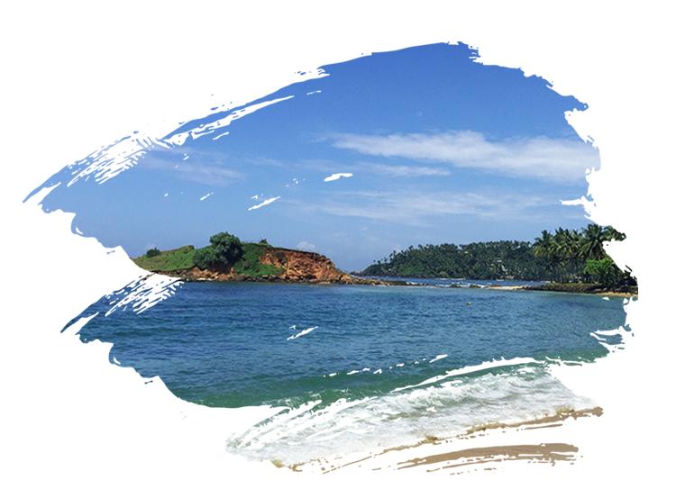 鹏飞乐岛,飞乐岛怎么做逍遥岛主