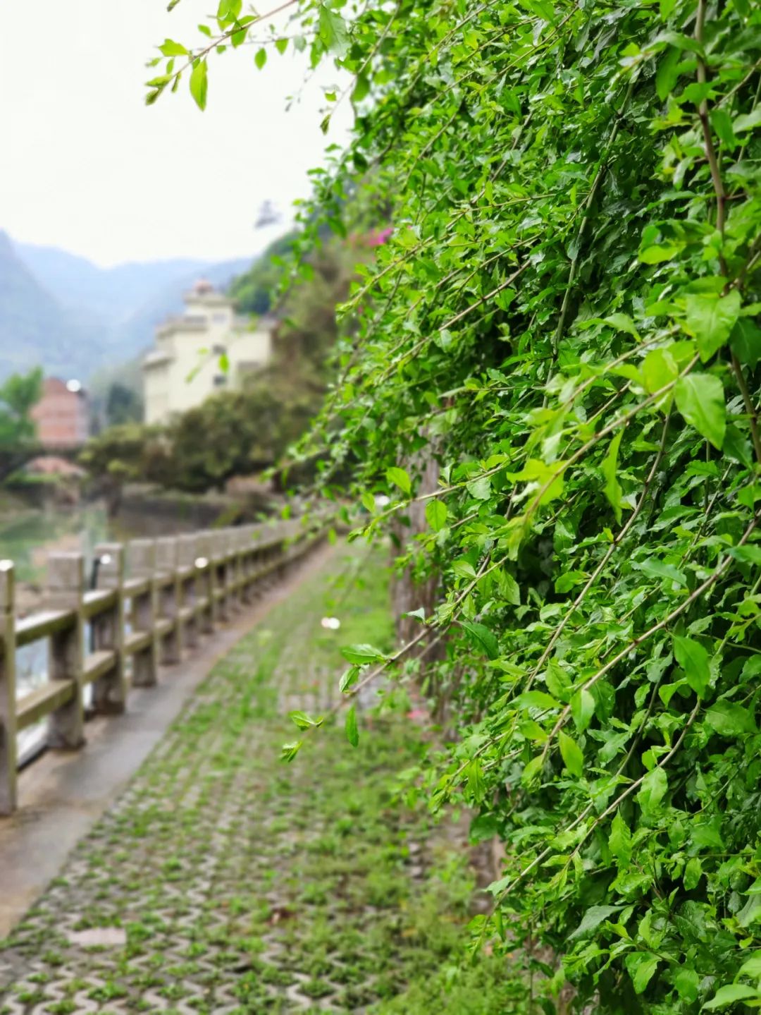 探访悬崖峭壁,大峡谷绝壁长廊