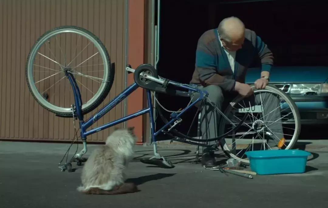 主人们不在家猫咪是怎么生活的,猫咪主人不在时猫咪有什么表现