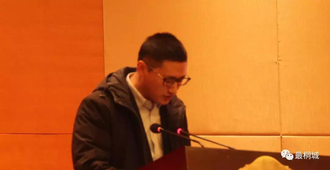 看桐城市发展怎么样,看桐城新闻