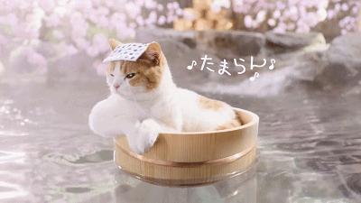 冷空气回南天大雨来袭,冷空气来袭还有大到暴雨