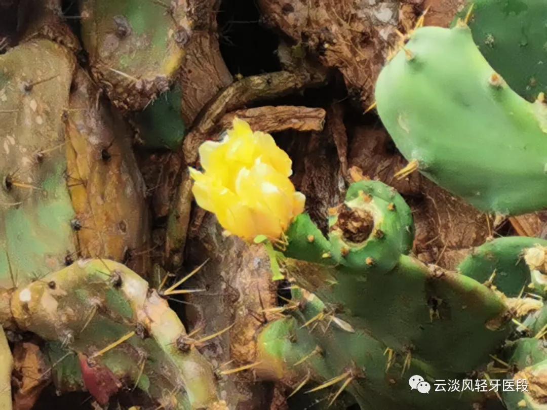 五一的北海涠洲岛,北海涠洲岛三天两夜旅游攻略