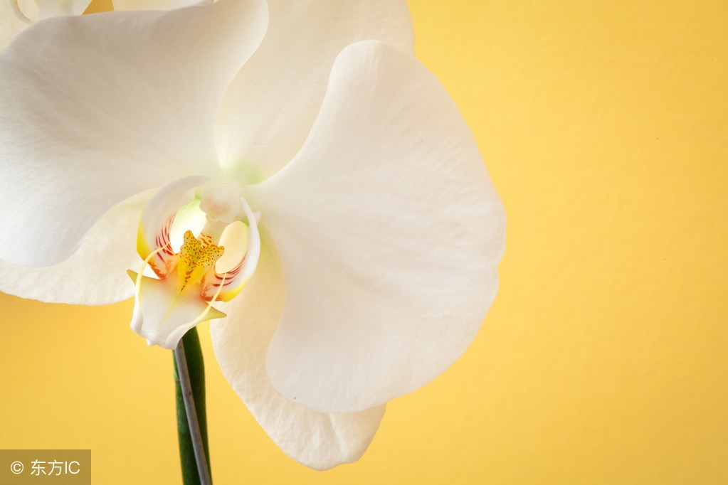 女朋友头回登门就遇到捡垃圾的老父亲,王先生急得满头大汗