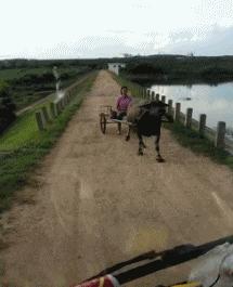 回家的路上看到这么多钱，背包都装不下啊，现在该怎么办