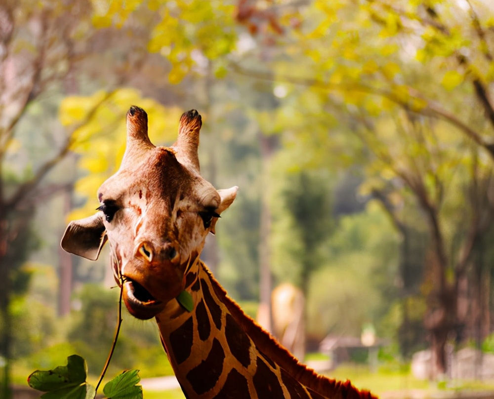 想瘦又不想动，别担心，动力来了