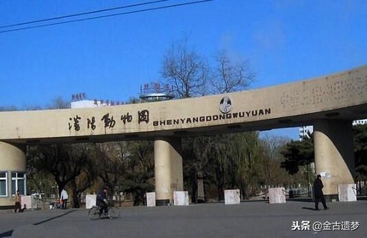 改革开放四十年的家国记忆,改革开放年代的回忆