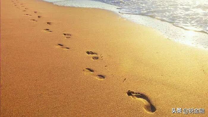 豪横出自哪,豪横选择大学