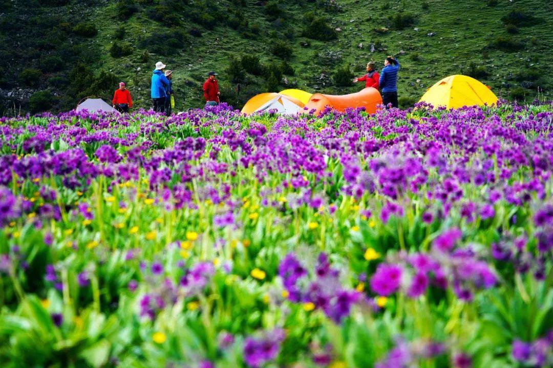 徒步新藏线什么时候开始,川藏线十大徒步路线