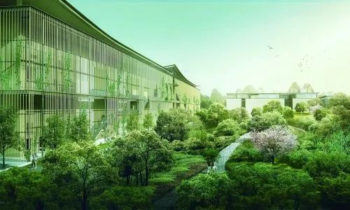 这个看不出是服装厂的地方，却是全球最大的纯棉衬衫制造商之一