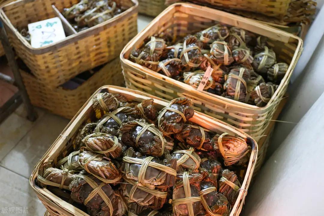 阳澄湖大闸蟹到底去哪了,阳澄湖大闸蟹为什么这么难卖