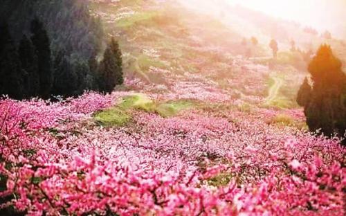 出国旅游担心语言问题,出国旅游预订机票口语