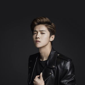 流量明星,实力明星鹿晗