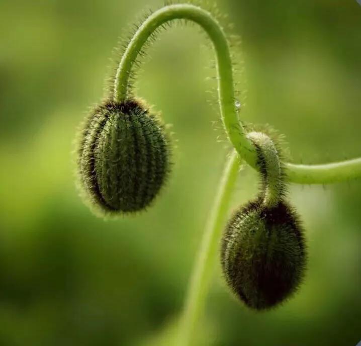 家庭感情需要维护,家庭情感修复的句子