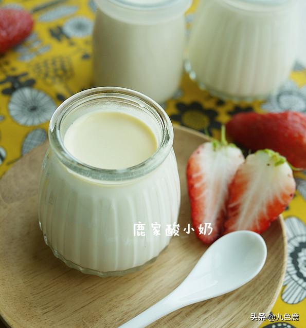 怎么自制酸奶更好喝,用酸奶做引子自制酸奶的家常做法