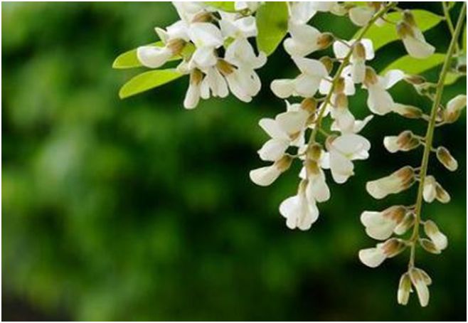 肛裂难言之隐,肛裂难以治愈