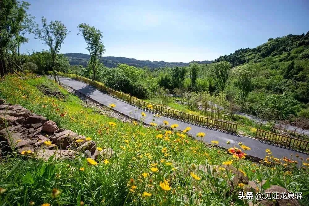 回眸十三五巨变,回眸十三五成果