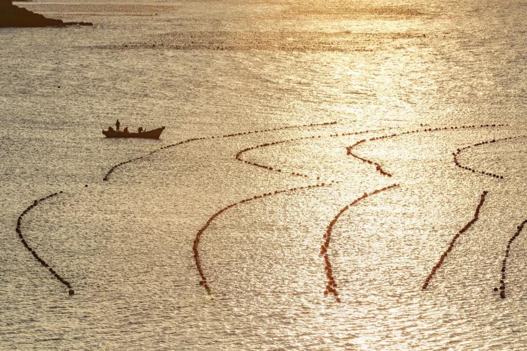 三亚和厦门哪一个更值得去旅游,三亚和厦门哪个地方值得去