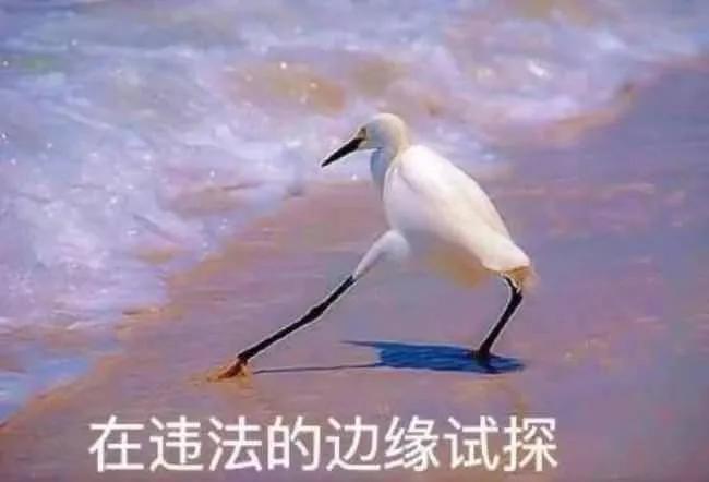 各国代孕法律之比较研究,法国禁止代孕的法律法规