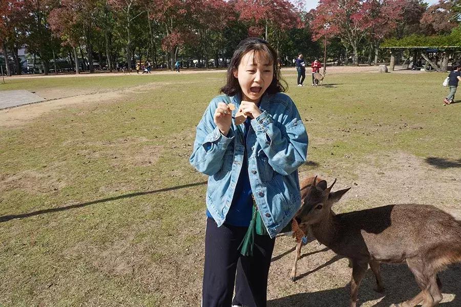 去日本行李箱带多少液体,去日本行李箱托运多少钱