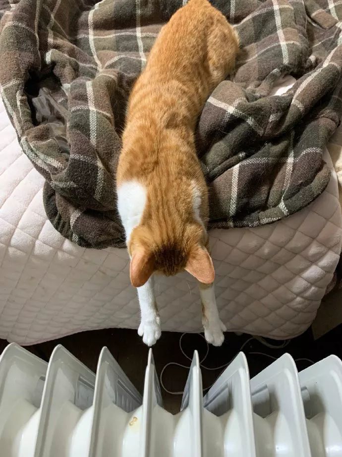 对男生说什么话*伤杀**力最大|冷段子1078去年今日1023