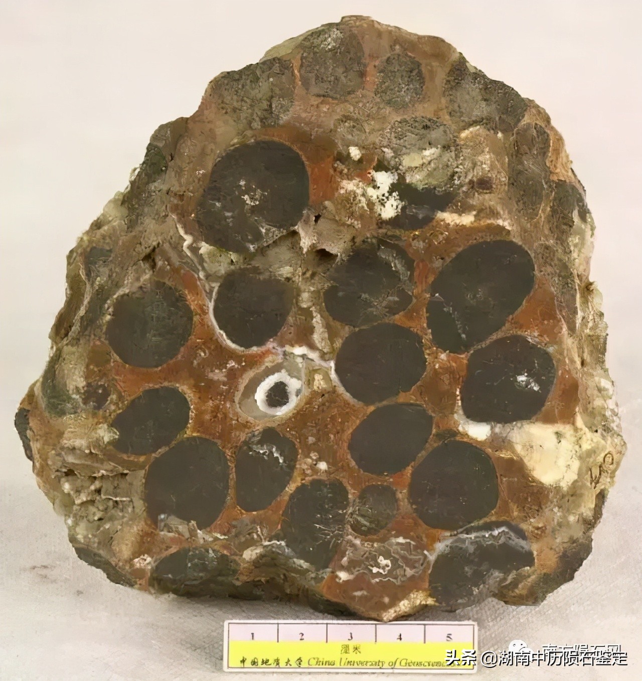 月球陨石与地球矿石的区别,月球陨石和矿石有什么区别