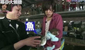 鏃ユ湰鐚村瓙鍚冮奔,鏃ユ湰鐚村瓙绉冨ご鍚冮潚鑺遍奔