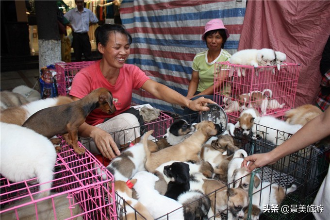 21年西樵重阳节摆摊在什么地方,用一句话介绍西樵大仙诞