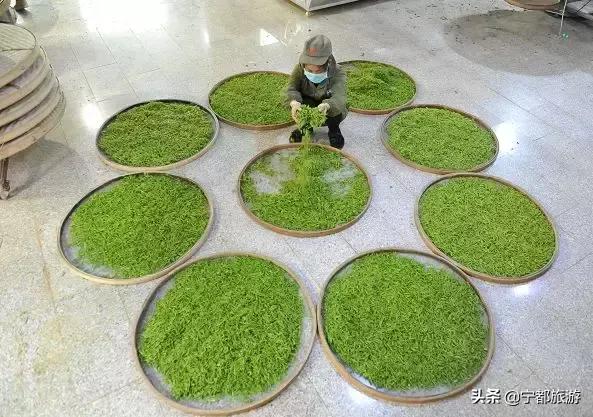 一起品味!小布茶香,香飘全国~