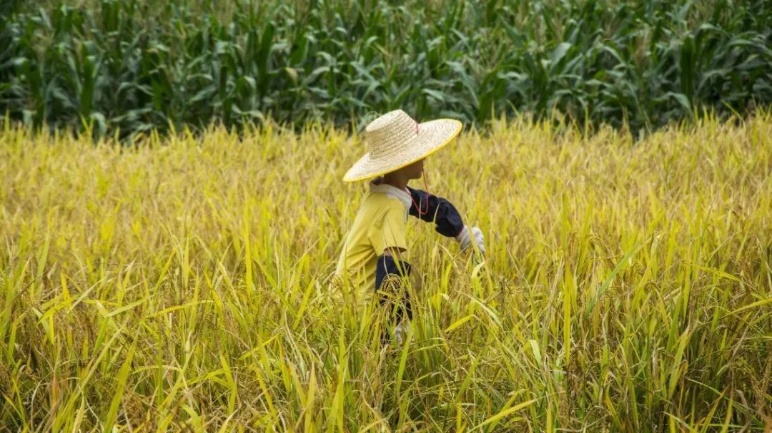 亲子安徽旅游,安徽儿童亲子游