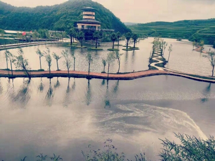 鍏嬩緷榛戠伀鎶婅妭绡濈伀鏅氫細,鍏嬩緷榛戠伀鎶婅妭鐜板満鐩存挱